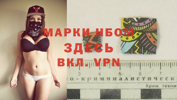 крисы Гусев