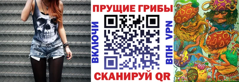 Галлюциногенные грибы GOLDEN TEACHER  закладки  Усть-Лабинск 
